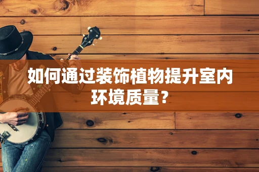 如何通过装饰植物提升室内环境质量？