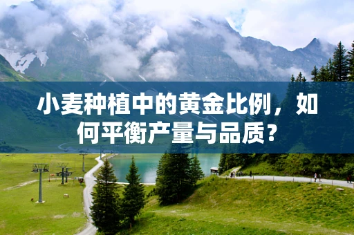 小麦种植中的黄金比例，如何平衡产量与品质？