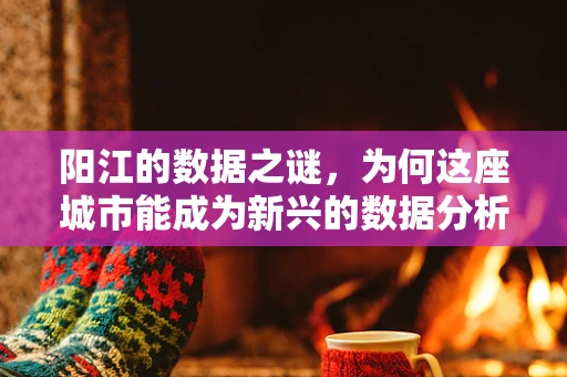 阳江的数据之谜，为何这座城市能成为新兴的数据分析中心？