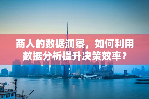 商人的数据洞察，如何利用数据分析提升决策效率？