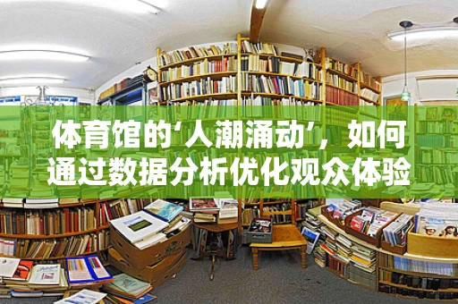 体育馆的‘人潮涌动’，如何通过数据分析优化观众体验？
