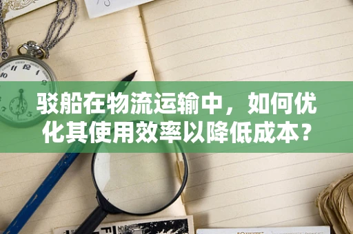 驳船在物流运输中，如何优化其使用效率以降低成本？