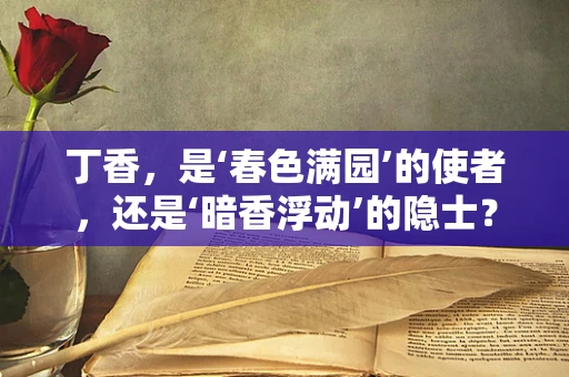 丁香，是‘春色满园’的使者，还是‘暗香浮动’的隐士？