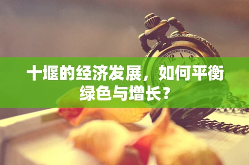 十堰的经济发展，如何平衡绿色与增长？