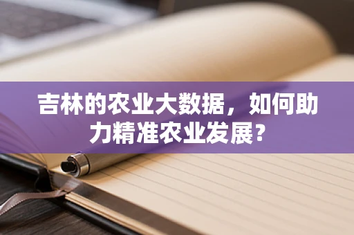 吉林的农业大数据，如何助力精准农业发展？