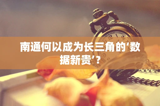 南通何以成为长三角的‘数据新贵’？
