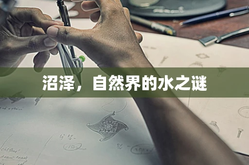 沼泽，自然界的水之谜