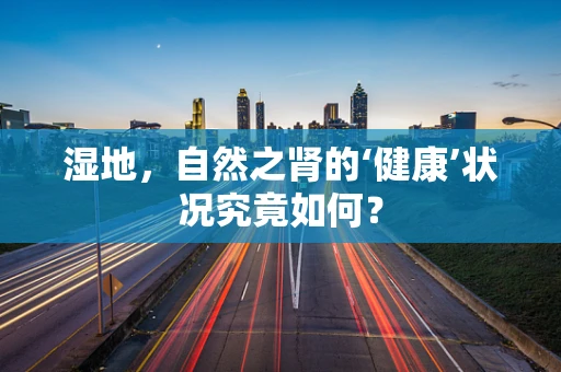湿地，自然之肾的‘健康’状况究竟如何？