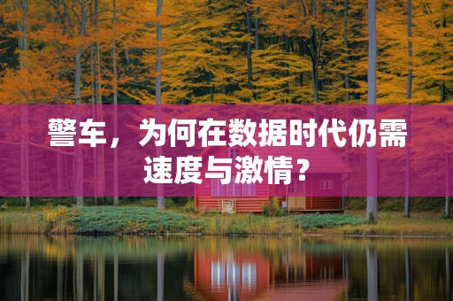 警车，为何在数据时代仍需速度与激情？