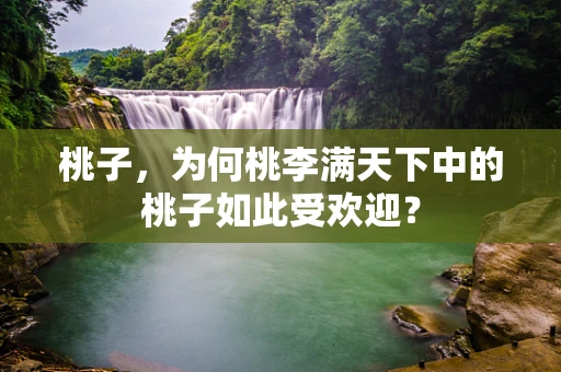 桃子，为何桃李满天下中的桃子如此受欢迎？
