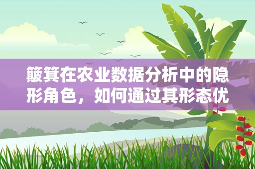 簸箕在农业数据分析中的隐形角色，如何通过其形态优化作物收获效率？