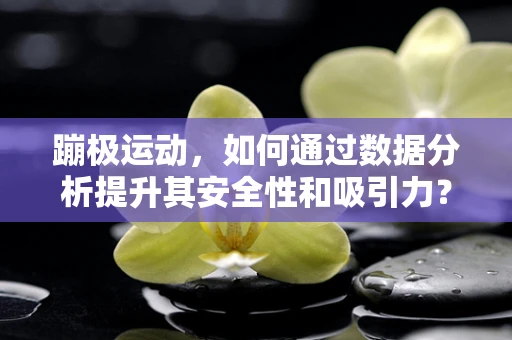 蹦极运动，如何通过数据分析提升其安全性和吸引力？
