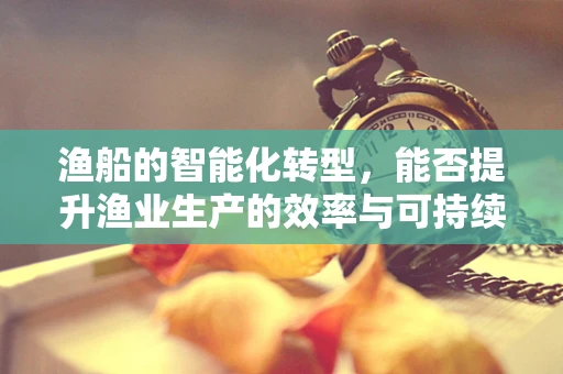渔船的智能化转型，能否提升渔业生产的效率与可持续性？