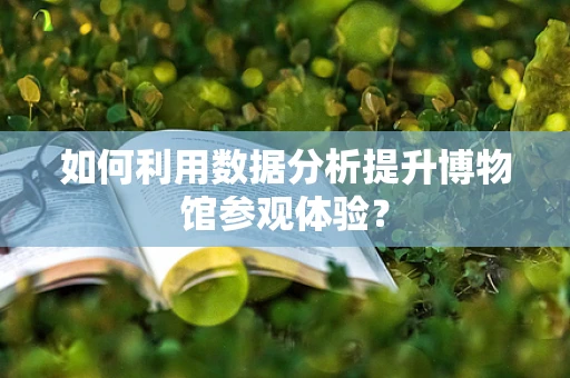 如何利用数据分析提升博物馆参观体验？