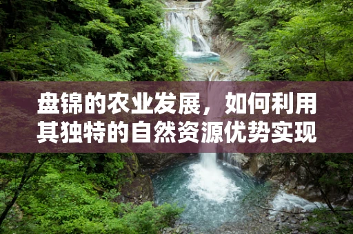 盘锦的农业发展，如何利用其独特的自然资源优势实现可持续发展？