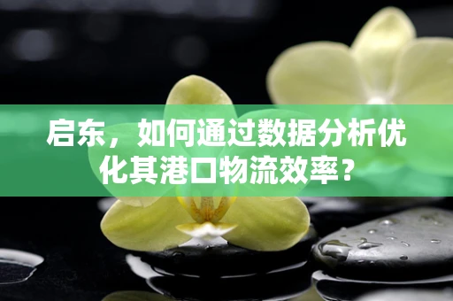 启东，如何通过数据分析优化其港口物流效率？