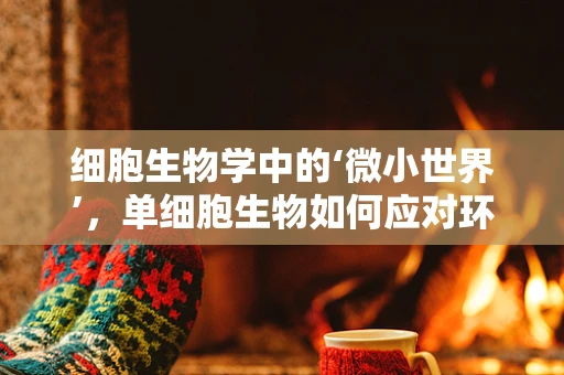 细胞生物学中的‘微小世界’，单细胞生物如何应对环境变化？
