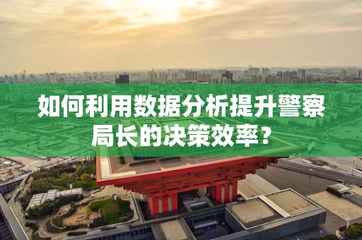 如何利用数据分析提升警察局长的决策效率？