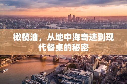 橄榄油，从地中海奇迹到现代餐桌的秘密