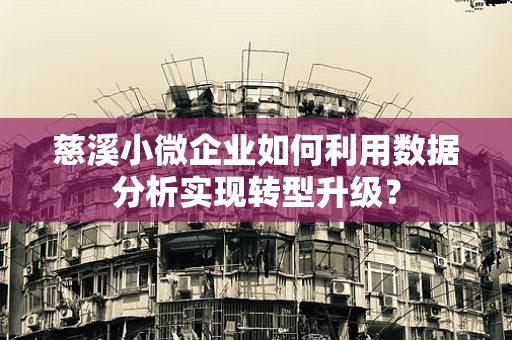 慈溪小微企业如何利用数据分析实现转型升级？