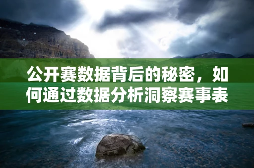 公开赛数据背后的秘密，如何通过数据分析洞察赛事表现？