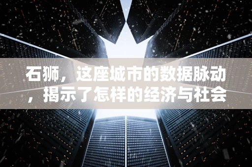 石狮，这座城市的数据脉动，揭示了怎样的经济与社会图景？