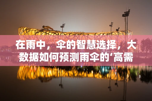 在雨中，伞的智慧选择，大数据如何预测雨伞的‘高需求’时刻？