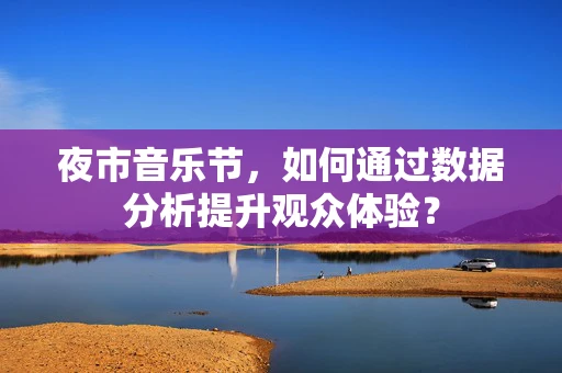 夜市音乐节，如何通过数据分析提升观众体验？