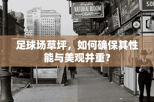 足球场草坪，如何确保其性能与美观并重？