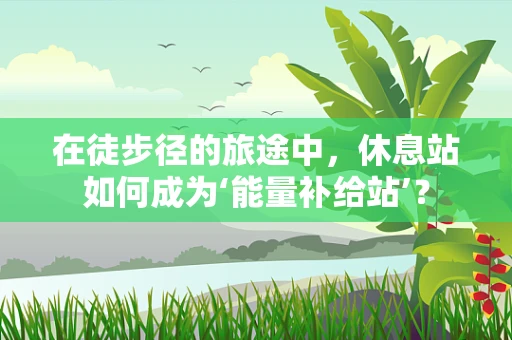 在徒步径的旅途中，休息站如何成为‘能量补给站’？