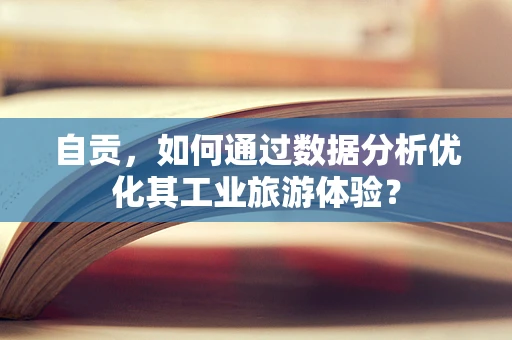 自贡，如何通过数据分析优化其工业旅游体验？