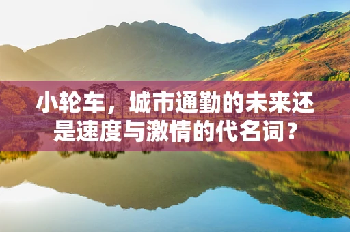 小轮车，城市通勤的未来还是速度与激情的代名词？