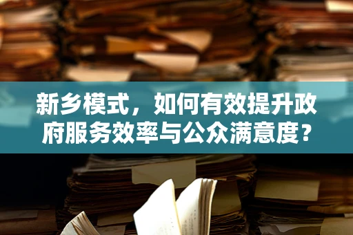新乡模式，如何有效提升政府服务效率与公众满意度？