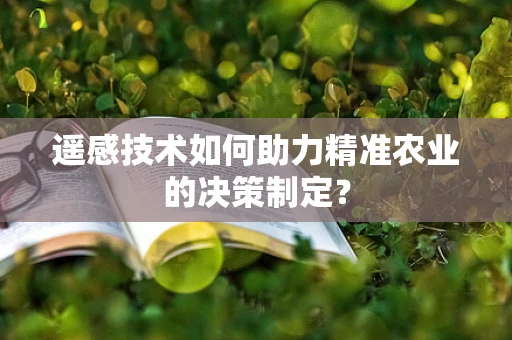 遥感技术如何助力精准农业的决策制定？