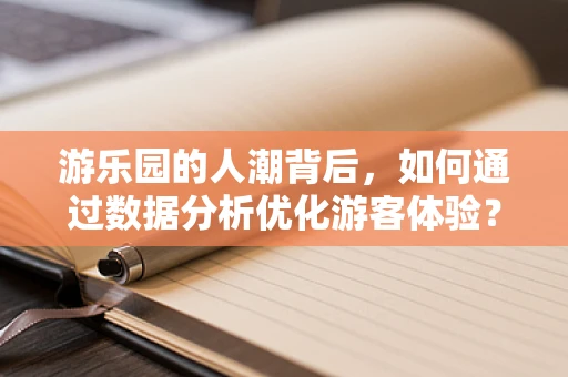 游乐园的人潮背后，如何通过数据分析优化游客体验？
