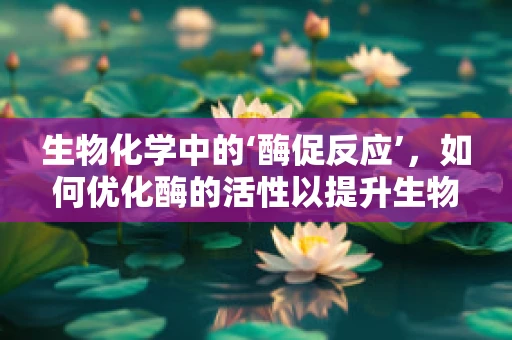 生物化学中的‘酶促反应’，如何优化酶的活性以提升生物转化效率？