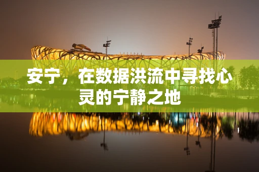 安宁，在数据洪流中寻找心灵的宁静之地