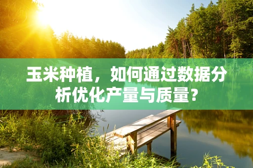 玉米种植，如何通过数据分析优化产量与质量？