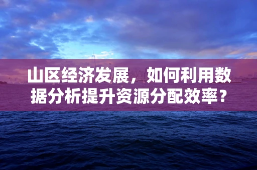 山区经济发展，如何利用数据分析提升资源分配效率？