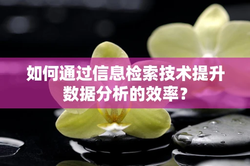 如何通过信息检索技术提升数据分析的效率？