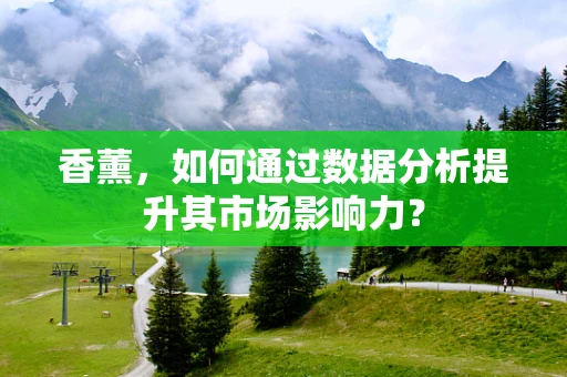 香薰，如何通过数据分析提升其市场影响力？