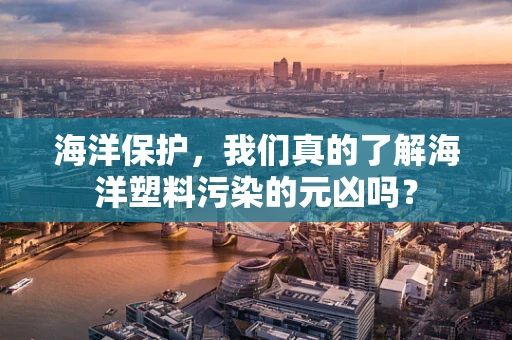 海洋保护，我们真的了解海洋塑料污染的元凶吗？