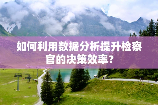 如何利用数据分析提升检察官的决策效率？