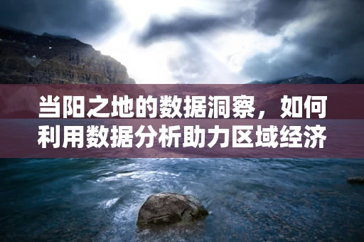当阳之地的数据洞察，如何利用数据分析助力区域经济发展？