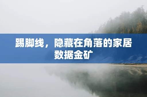踢脚线，隐藏在角落的家居数据金矿