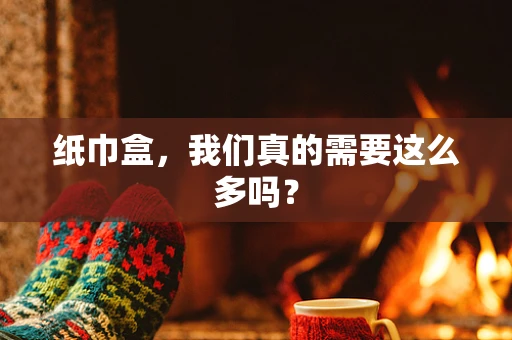 纸巾盒，我们真的需要这么多吗？