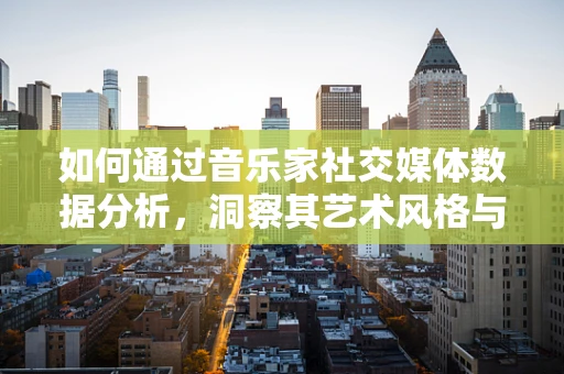 如何通过音乐家社交媒体数据分析，洞察其艺术风格与市场影响力？