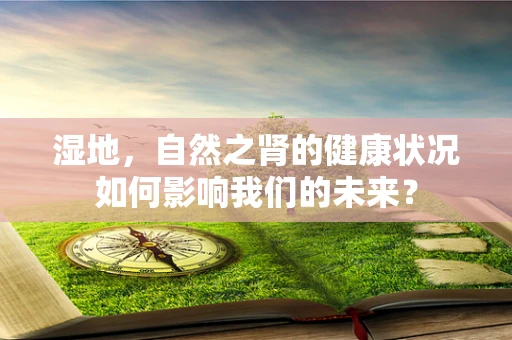 湿地，自然之肾的健康状况如何影响我们的未来？