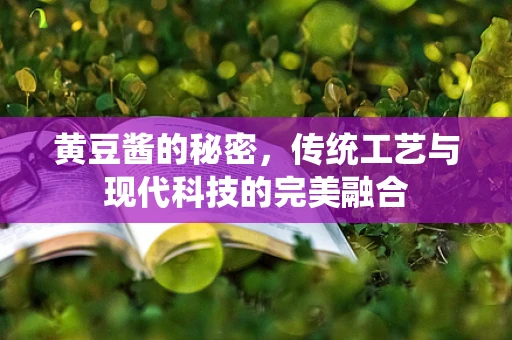 黄豆酱的秘密，传统工艺与现代科技的完美融合