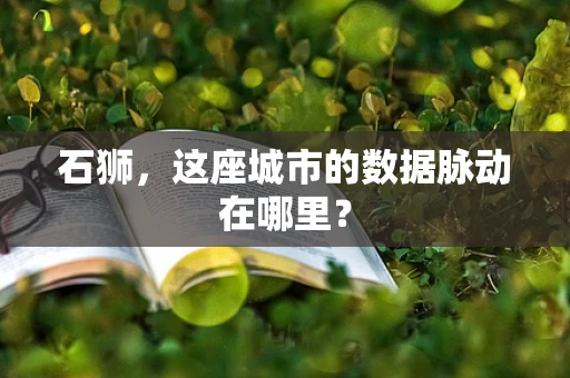 石狮，这座城市的数据脉动在哪里？